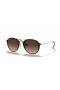 Ray-Ban RB4292N Blaze Doppio Ponte XL (61 - 14) / lenti Brown Tortoise frame Occhiali da sole