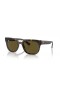 Ray-Ban RB4426 Phil Bio a Base di L (54 - 21) / lenti Brown Tortoise frame Occhiali da sole