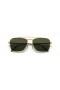 Ray-Ban RB3636 Caravan Nuovo M (55 - 15) / Verde lenti e montatura in Oro Occhiali da sole