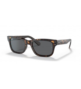 Ray-Ban RB2283 Burbank XL (55 - 20) / lenti Grigio e Tortoise frame Occhiali da sole