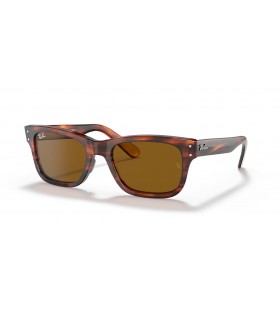 Ray-Ban RB2283 Burbank M (52 - 20) / lenti Marrone e Marrone frame Occhiali da sole