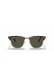 Ray-Ban RB3016ClubmasterクラシックL(51-21)/グリーンレンズ-タートルフレームサングラス