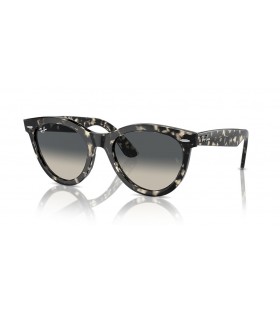 Ray-Ban RB2241Wayfareræ–¹XL(54-21)/ã‚°ãƒ¬ãƒ¼ãƒ¬ãƒ³ã‚ºã‚¿ãƒ¼ãƒˆãƒ«ãƒ•ãƒ¬ãƒ¼ãƒ ã‚µãƒ³ã‚°ãƒ©ã‚¹