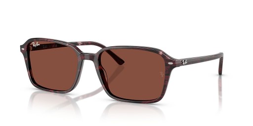 Ray-Ban RB2231 Raimond XL (58 - 18) / Røde linser og Fiolett frame Solbriller