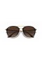 Ray-Ban RB4292N Blaze Dobbel Bro XL (61 - 14) / Brune linser og Tortoise frame Solbriller