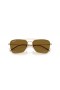 Ray-Ban RBR0102S Caravan Omvendt XXL (61 - 15) / Brune linser og Gull frame Solbriller