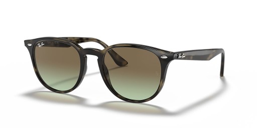 Ray-Ban RB4259 M (51 - 20) / Brown lentile și broasca Țestoasă, ochelari de Soare cadru