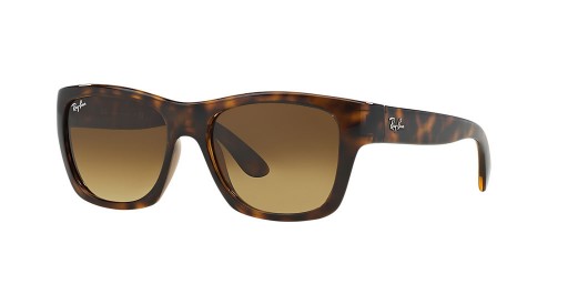 Ray-Ban RB4194 L (53 - 17) / Brown lentile și broasca Țestoasă, ochelari de Soare cadru