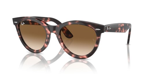 Ray-Ban RB2241 Wayfarer Mod L (51 - 21) / Brown lentile și broasca Țestoasă, ochelari de Soare cadru