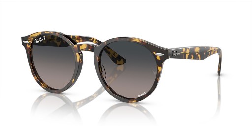 Ray-Ban RB7680S Larry S (49 - 21) / lentile Gri și broasca Țestoasă, ochelari de Soare cadru