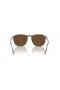 Ray-Ban RB2203 M (52 - 20) / Brown lentile și broasca Țestoasă, ochelari de Soare cadru