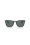 Ray-Ban RB4187 Chris M (54 - 18) / lentile Gri și Verde cadru ochelari de Soare