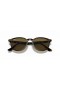 Ray-Ban RB4259F L (53 - 20) / Brown lentile și broasca Țestoasă, ochelari de Soare cadru