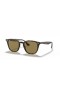 Ray-Ban RB4258 M (50 - 20) / Brown lentile și broasca Țestoasă, ochelari de Soare cadru