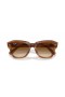 Ray-Ban RB2186 Stat Stradă M (49 - 20) / Brown lentile și broasca Țestoasă, ochelari de Soare cadru