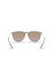 Ray-Ban RB4171 Erika Clasic, M (54 - 18) / lentile Maro si Maro cadru ochelari de Soare