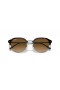 Ray-Ban RB4429 XL (53 - 20) / lentile Maro si Maro cadru ochelari de Soare