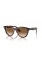 Ray-Ban RB2241 Wayfarer Mod L (51 - 21) / Brown lentile și broasca Țestoasă, ochelari de Soare cadru