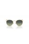 Ray-Ban RB3447 Metal Rotund L (53 - 21) / lentile Verzi și ramă de Aur, ochelari de Soare