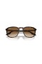 Ray-Ban RB2203 L (55 - 20) / Brown lentile și broasca Țestoasă, ochelari de Soare cadru