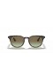 Ray-Ban RB4259 M (51 - 20) / Brown lentile și broasca Țestoasă, ochelari de Soare cadru