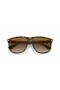 Ray-Ban RB4147 Prietenul L (60 - 15) / Brown lentile și broasca Țestoasă, ochelari de Soare cadru