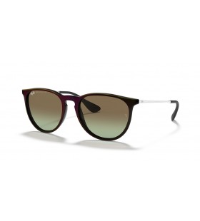 Ray-Ban RB4171 Erika Clasic, M (54 - 18) / lentile Verzi și Negre, ochelari de Soare cadru