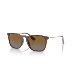 Ray-Ban RB4187 Chris M (54 - 18) / lentile Maro si Maro cadru ochelari de Soare