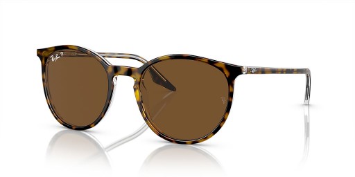 Ray-Ban RB2204L(54-20)/브라운 렌즈와 브라운 구조 색안경