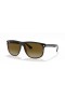 Ray-Ban RB4147 자 L(60-15)/브라운 렌즈 및 프레임 검 선글라스