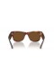 Ray-Ban RB0840S 메가 Wayfarer M(51-21)/브라운 렌즈와 브라운 구조 색안경