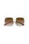 Ray-Ban RB1971 스퀘어 1971 년 Classic L(54-19)/브라운 렌즈 및 프레임이 금 선글라스