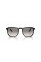 Ray-Ban RB2203M(52-20)/Grey 렌즈 및 프레임 검 선글라스