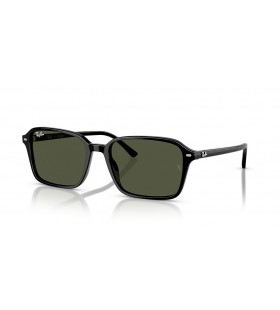 Ray-Ban RB2231F Raimond L(56-18)/ë…¹ìƒ‰ ë Œì¦ˆ ë° í”„ë ˆìž„ ê²€ ì„ ê¸€ë¼ìŠ¤