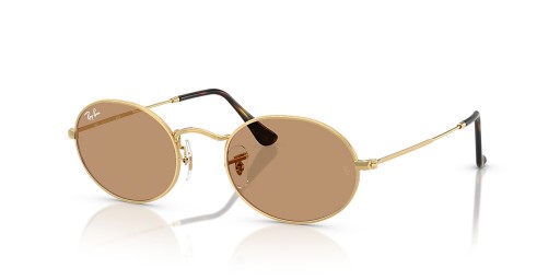Ray-Ban RB3547 Oval Metall M (51 - 21) / Bruna linser och Guld ram Solglasögon