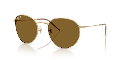 Ray-Ban RBR0103S Runda Omvänd L (53 - 21) / Bruna linser och Guld ram Solglasögon