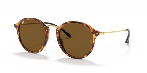 Ray-Ban RB2447 Runda Fleck XL (49 - 21) / Bruna linser och Brun ram Solglasögon