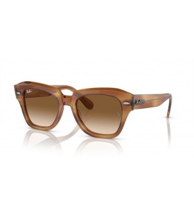 Ray-Ban RB2186 State Street M (49 - 20) / Bruna linser och Tortoise frame Solglasögon