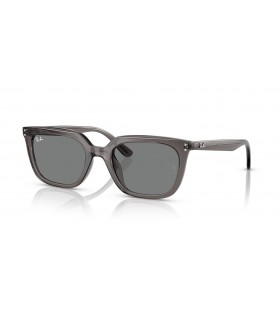 Ray-Ban RB4439D L (54 - 21) / Grå linser och Grå ram Solglasögon