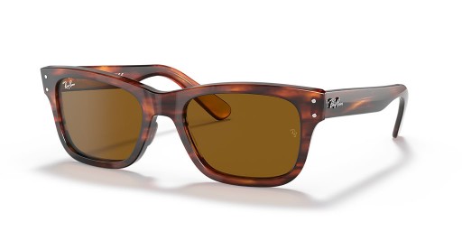 Ray-Ban RB2283 Burbank XL (55 - 20) / Kahverengi lensler ve Kahverengi çerçeve Güneş Gözlüğü