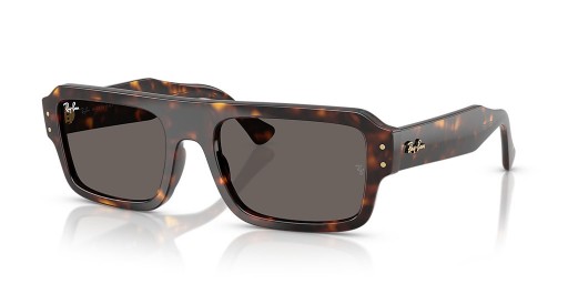 Ray-Ban RB4454 Lukas Bio-Base de L (53 - 20) / Gris lentes y la Tortuga Gafas de sol de montura