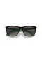 Ray-Ban RB4181 M (57 - 16) / Gris y lentes de marco Negro, Gafas de sol