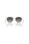 Ray-Ban RB3809 XL (55 - 20) / Gris lentes y Gafas de sol de montura de Plata