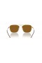 Ray-Ban RB3588 L (55 - 19) / Marrón lentes y Gafas de sol de montura de Oro