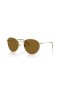 Ray-Ban RBR0103S Ronda Inversa L (53 - 21) / Marrón lentes y Gafas de sol de montura de Oro