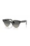 Ray-Ban RB2341 Clubmaster Forma M (51 - 19) / Gris lentes y la Habana Gafas de sol de montura