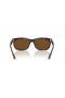 Ray-Ban RB2389 Balorette XL (60 - 19) / Marrón y lentes de Tortuga Gafas de sol de montura