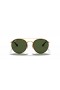 Ray-Ban RB3647N Ronda de Doble Puente M (51 - 22) / lentes de color Verde y Oro, Gafas de sol de montura
