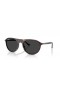 Ray-Ban RB2215 XXL (59 - 20) / lentes Negros y la Tortuga Gafas de sol de montura