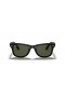 Ray-Ban RB4340 Caminante Facilidad M (50 - 22) / lentes de color Verde y Negro Gafas de sol de montura